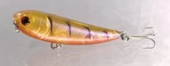 Gladiator Tackle Kozami 60 Topwater Lure -Fishing Promotion Shop 11 307fe968 a8d1 4b18 a31f e3d19dcbdb1f