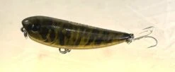 Gladiator Tackle Kozami 60 Topwater Lure -Fishing Promotion Shop 14 e751975b 03d5 4db0 a3e9 88297e66d924