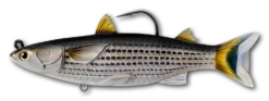Live Target Mullet & Herring Swimbaits -Fishing Promotion Shop 8091