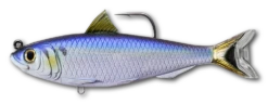 Live Target Mullet & Herring Swimbaits -Fishing Promotion Shop 8118 1c1acd21 e949 4bb7 893e 8d6411f96bfd