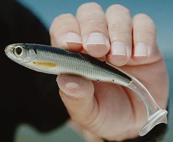 Live Target Slowroll Shiner 125mm 4 Live Target Slowroll Shiner 125mm - Image 2