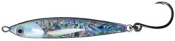 Bluewater Bullet Bait -Fishing Promotion Shop BB ABALONE scaled 1