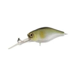 Jackall Chubby -Fishing Promotion Shop BCF 167856 ayu hi res