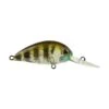Atomic Hardz Crank Deep -Fishing Promotion Shop BCF 288014 ghostgillbrown hi res