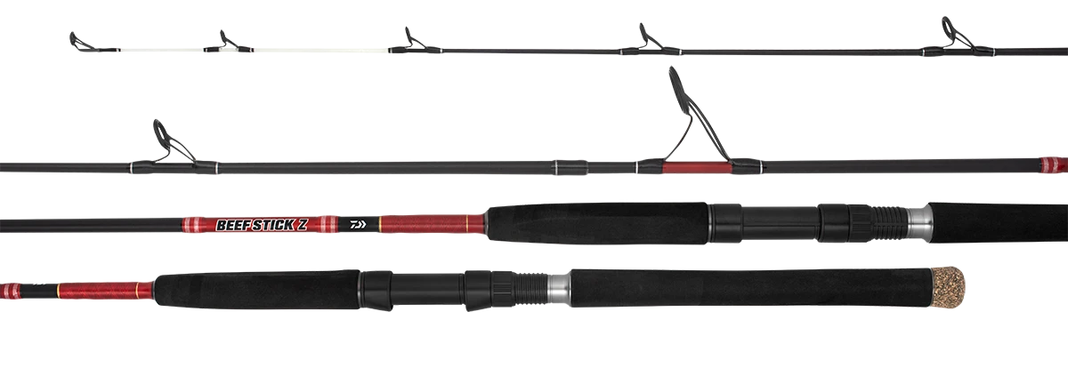 Daiwa 21 Beefstick Z Spin Rods