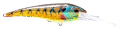 Nomad DTX Minnow 140 -Fishing Promotion Shop DTX140 F BGL