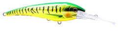 Nomad DTX Minnow 140 -Fishing Promotion Shop DTX140 F GT
