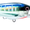 Nomad DTX Minnow 140 -Fishing Promotion Shop DTX140 F SM