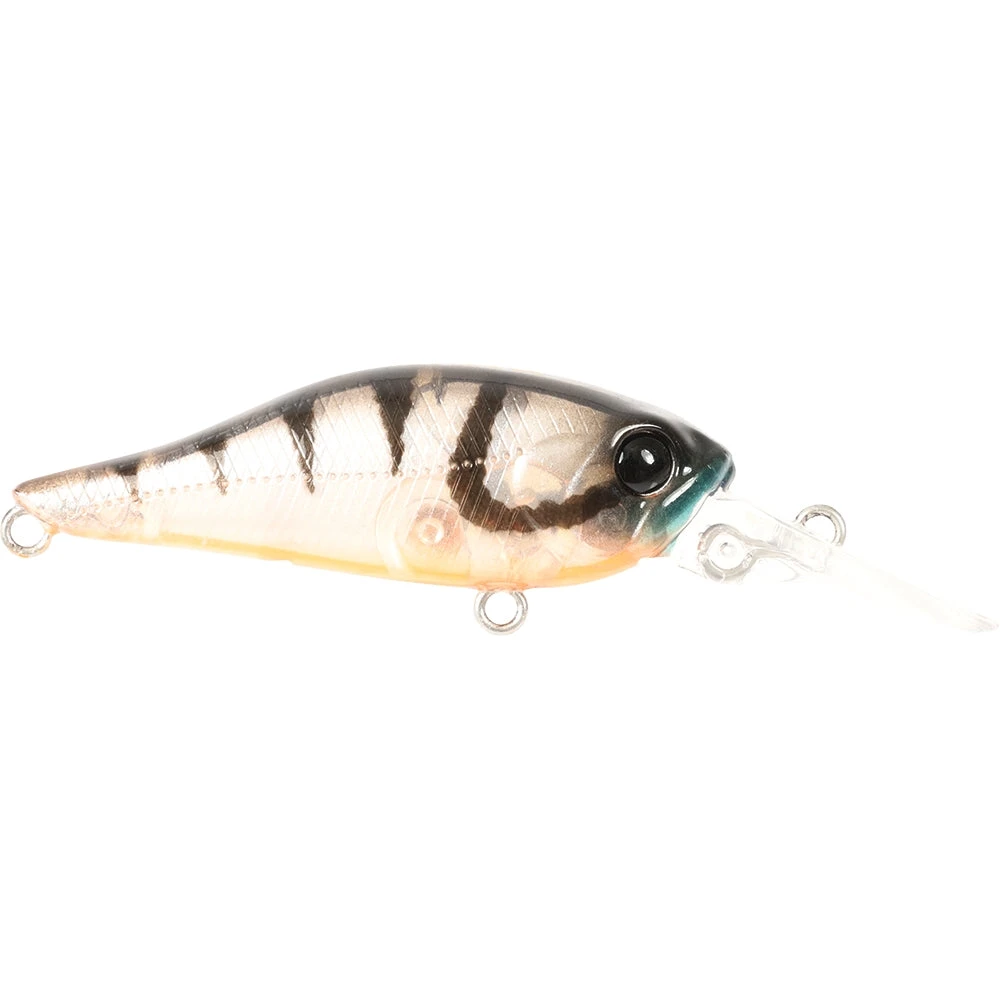 Atomic Hardz Shad Deep 40mm 16 Atomic Hardz Shad Deep 40mm - Image 14