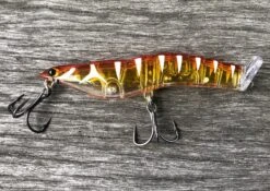 MMD Splash Prawns -Fishing Promotion Shop IMG 2578 1024x1024 2x d47442fa 117b 4a6f a818 eae6e565f944