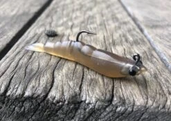 MMD Soft Prawn 39 MMD Soft Prawn -Fishing Promotion Shop IMG 2777 1024x1024 2x bc9f0cc6 65d3 4a79 bf5e 2635db8759f9