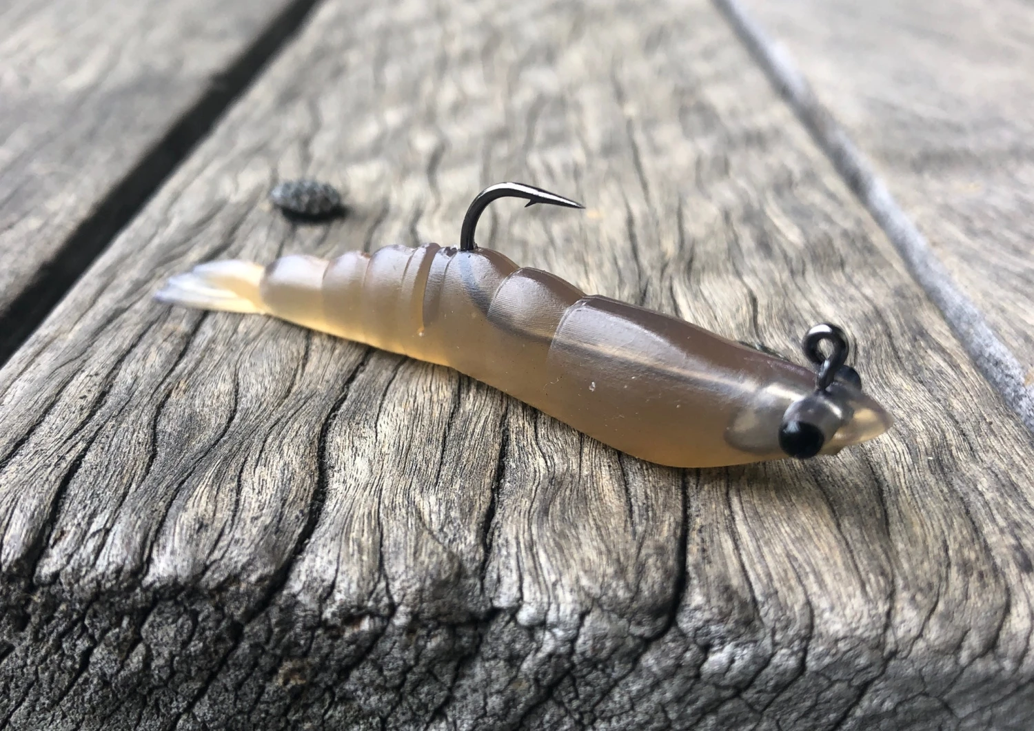 MMD Soft Prawn 20 MMD Soft Prawn - Image 18