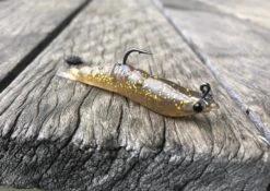 MMD Soft Prawn 41 MMD Soft Prawn -Fishing Promotion Shop IMG 2784 1024x1024 2x e84b0f05 b9a6 4ab1 a91d 99f0cf5c4e42