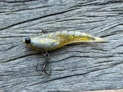 MMD Soft Prawn Vibe 11 MMD Soft Prawn Vibe -Fishing Promotion Shop IMG 8379 1024x1024 2x 131d6faf 9a97 455f b913 15c77f78f9a9