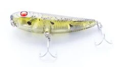 Gladiator Tackle Kozami 60 Topwater Lure -Fishing Promotion Shop KZ5003 large 2ae73765 745c 407b b848 d1352f7f38d8
