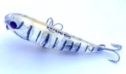 Gladiator Tackle Kozami 60 Topwater Lure -Fishing Promotion Shop KZ6005 large e54db985 111e 4190 8534 0eeb793c6163