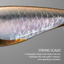 Shimano Bantam Pavlo Shad -Fishing Promotion Shop P BANTAM PAVLO SHAD 59 8