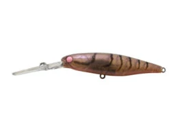 Jackall Squirrel 67SP 11 Jackall Squirrel 67SP -Fishing Promotion Shop PINK EYE SUJIsquirrel 79 pink eye suji 2 1800x1800 3e348e43 c085 4ad0 8053 02bdbe36a7e1