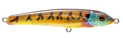 Nomad Riptide 115 Fatso Floating 19 Nomad Riptide 115 Fatso Floating -Fishing Promotion Shop RIP115 F BGL