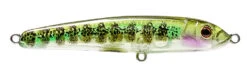 Nomad Riptide 115 Fatso Floating 21 Nomad Riptide 115 Fatso Floating -Fishing Promotion Shop RIP115 F GGB