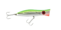Halco Roosta Popper 105 -Fishing Promotion Shop RP105 H81