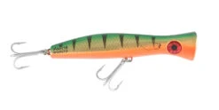 Halco Roosta Popper 195 26 Halco Roosta Popper 195 -Fishing Promotion Shop RP195r26 png d7459181 b63c 4d4d 940f 12f3bcc00606