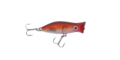 Halco Roosta Popper 45 -Fishing Promotion Shop RP45 R40a