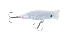 Halco Roosta Popper 60 -Fishing Promotion Shop RP60 R48