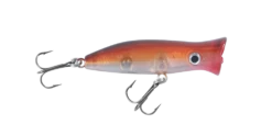 Halco Roosta Popper 60 -Fishing Promotion Shop RP60R40