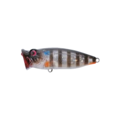 Strike Pro Rack Popper 14 Strike Pro Rack Popper -Fishing Promotion Shop Rack Popper 986G 1