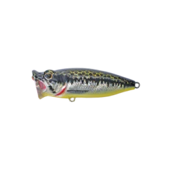 Strike Pro Rack Popper 19 Strike Pro Rack Popper -Fishing Promotion Shop Rack Popper XBBO 1