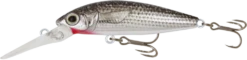 Samaki Redic Jerkbait MS60 -Fishing Promotion Shop Redic MS60 Turbo Mullet 1000x244 cd80a02a 8a96 4026 a927 386aefe1b6ff