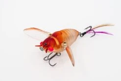 Chasebaits Ripple Cicada 14 Chasebaits Ripple Cicada -Fishing Promotion Shop Ripple Cicada RC43 05 Pink Stunner