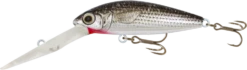 Samaki Redic Jerkbait DS60 22 Samaki Redic Jerkbait DS60 -Fishing Promotion Shop Samaki Redic DS60 Turbo Mullet 1000x284 1