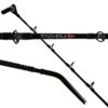 Shimano Tag-em Deep Drop -Fishing Promotion Shop ShimanoTag EmRod