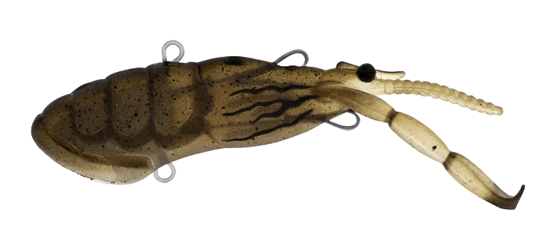 STEEZ SOFT SHELL 8 STEEZ SOFT SHELL - Image 6