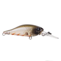 Atomic Hardz Shad Deep 40mm 18 Atomic Hardz Shad Deep 40mm -Fishing Promotion Shop Tristoseagle