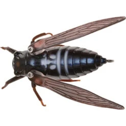 Jackson Namazemi Cicada-ABZ