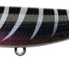 Lucky Craft Sammy -Fishing Promotion Shop blk shrimp