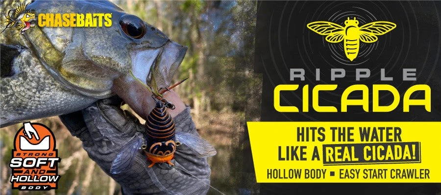 Chasebaits Ripple Cicada 4 Chasebaits Ripple Cicada - Image 2