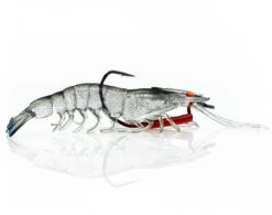 ChaseBaits Flick Prawn 21 ChaseBaits Flick Prawn -Fishing Promotion Shop cyrstal ecd6fe1c 30f8 4a02 a64d 3459fb750344