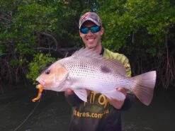 Tackle Tactics Snakelockz Jig Heads -Fishing Promotion Shop full 1025