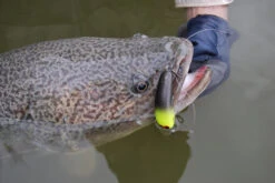 Mustad TG76 KVD Treble