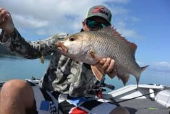 Tackle Tactics Jig Spinners -Fishing Promotion Shop full 1269