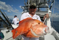 Wilson Aussie Made Fibreglass Gaffs -Fishing Promotion Shop full 1791 IMG 9591