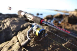 TTRods Red Belly Spin Rods 9 TTRods Red Belly Spin Rods -Fishing Promotion Shop full 3271 TTRods RedBelly Outdoor 13 web