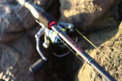 TTRods Red Belly Spin Rods 8 TTRods Red Belly Spin Rods -Fishing Promotion Shop full 3272 TTRods RedBelly Outdoor 03 web