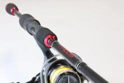 Fishing Promotion Shop -Fishing Promotion Shop full 3273 TTRods RedBelly PromoImage 1 web