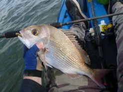 TTRods Copperhead Spin Rods -Fishing Promotion Shop full 3278 P1170136