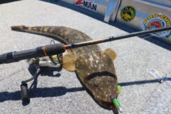 TTRods Copperhead Spin Rods -Fishing Promotion Shop full 3280 TTRods Copperhead Flathead 01 web